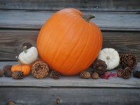 Score Big with These Fall Yard Sale Tips & Our Fast Free Inventory Solution