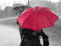 Save It for a Rainy Day